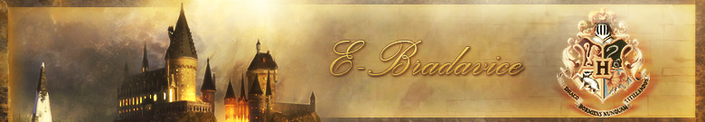 Logo - E-Bradavice
